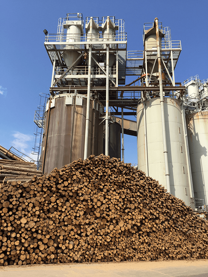 a foto of the factory visit at Sonae Arauco Beeskow GmbH